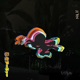 Ninja Archer Matthew Parker Remix Single