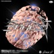 Sabes feat Turbiow Single