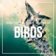 Birds Single