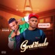 Gratitude feat STONE D Single