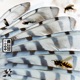 Featherweight Natebuttel Remix Natebuttel Remix Single
