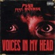 Voices in My Head Single feat NuSnse Single