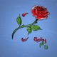 Baby 3 Single