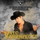 Vato Imperfecto Single