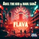 FLAVA feat Raul Sanz Single