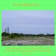 Everything I Love Live Single