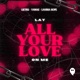 Lay All Your Love On Me Single
