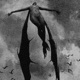 Weird Single