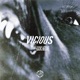 Vicious Single