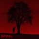 APFEL Single