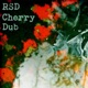 Cherry Dub Single
