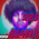 223 Single