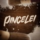 Pincelei feat dj guizim Single