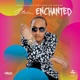 Enchanted Single
