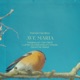 J S Bach Gounod Ave Maria CG 89 Arr for Piano Cello Choir by Patrick Hamilton Single