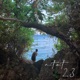 Ntat23 Single