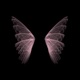 wings Single