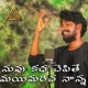 Nuvvu Katha Chepithe Naanna Single