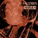 Nebula Single