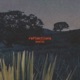 Reflections Single