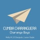 Cumbia Charanguera Single