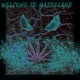 Welcome to HazeoLand Mixtape