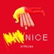 NICE Single