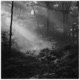 Hiraeth Rework feat Kevin Kuh Single