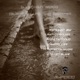 Silent Steps the Remixes