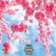 Don t Let Go Single