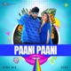 Paani Paani Afro Mix Single