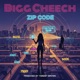 ZIP CODE Single