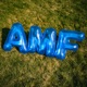 AMF Single