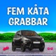 Fem kåta grabbar Single