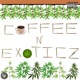 Coffee Exotics