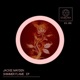Shimmer Flame EP