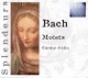 Bach Motets