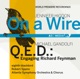Higdon On a Wire Gandolfi Q E D Engaging Richard Feynman