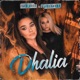 Dhalia Single