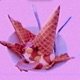 all for you Single