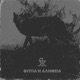 Fotia I Alitheia Single