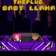 Baby llama Single