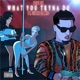 What You Tryna Do feat Gillie da Kid Single