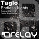 Endless Nights Single