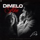 DIMELO MA Single