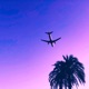 Boarding Pass Single