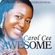 Awesome Single