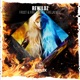 Frost Fire TWSTD Fire Remix Single