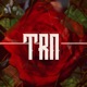 Trn feat Cecinseen Frimo Djaz Single