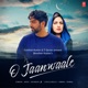 O Jaanwaale Single